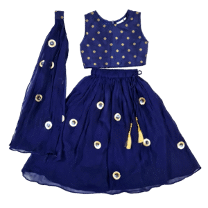 Blue Banarsi Choli With Lehenga